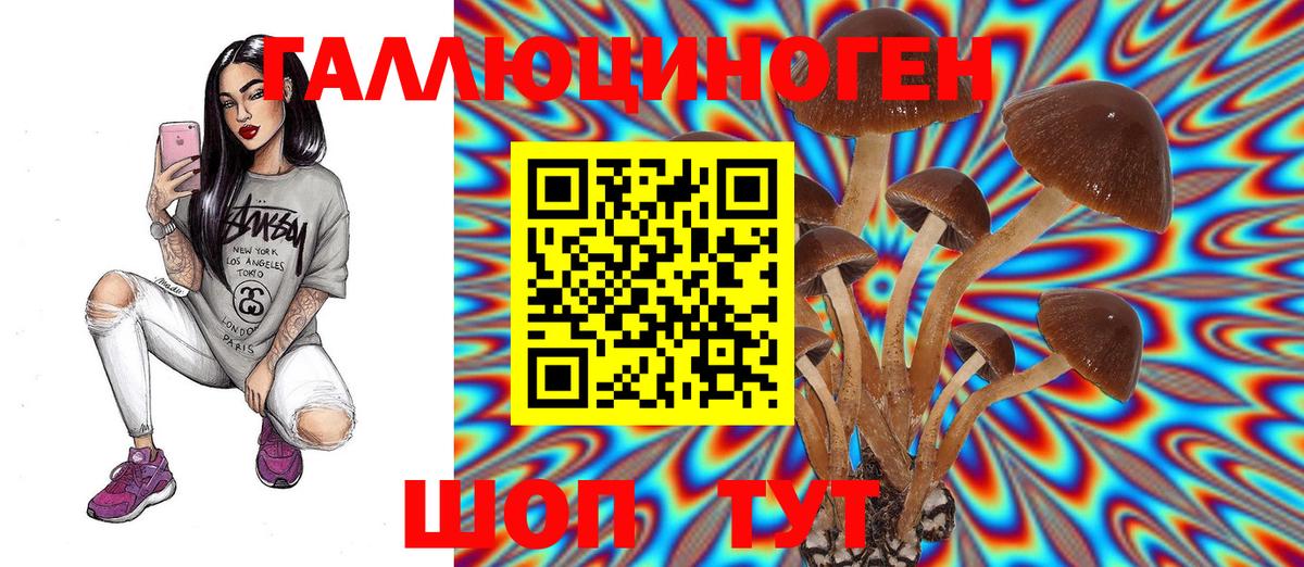 Псилоцибиновые грибы мухоморы  Псилоцибиновые грибы Cubensis  Вход с VPN  Махачкала 